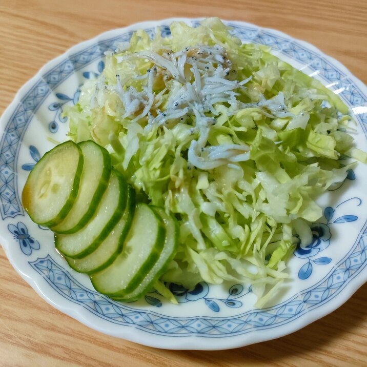 キャベツときゅうりとしらすのサラダ